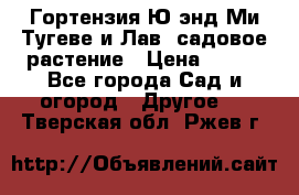 Гортензия Ю энд Ми Тугеве и Лав, садовое растение › Цена ­ 550 - Все города Сад и огород » Другое   . Тверская обл.,Ржев г.